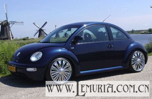 VW Beetle1.jpg